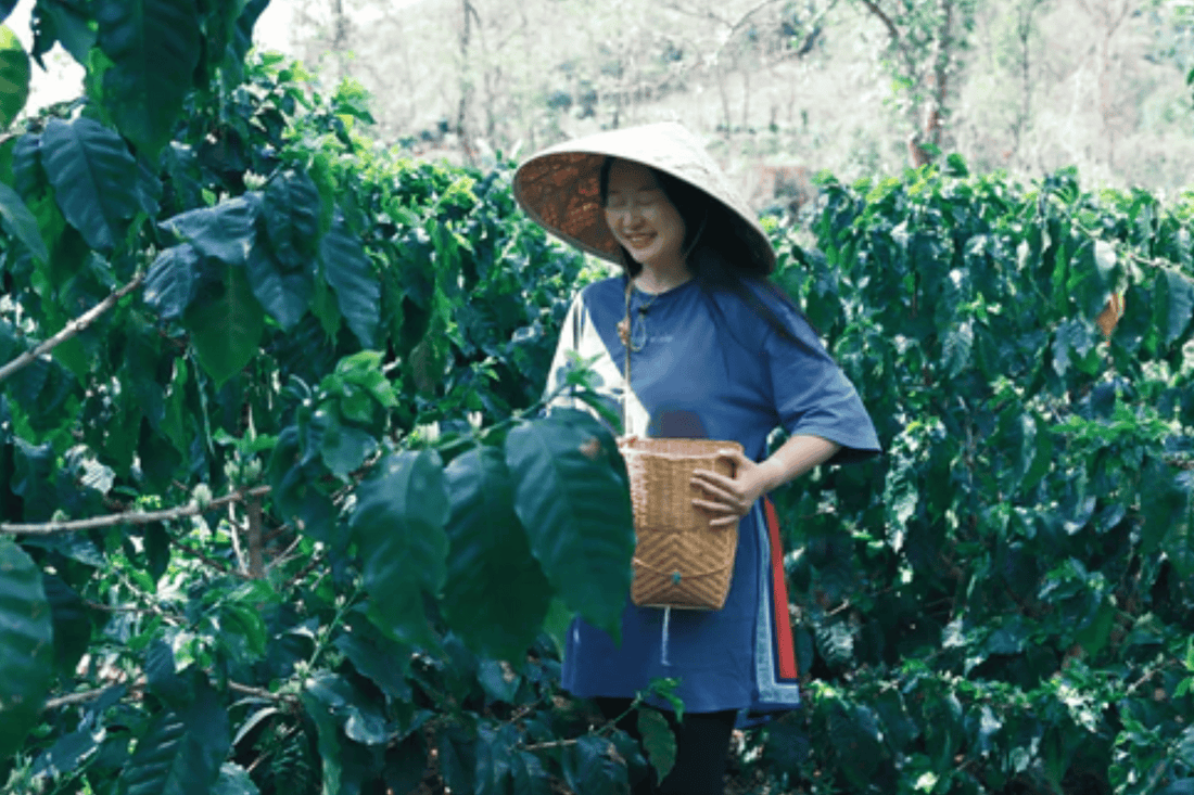 Deep Dive into Chinese Coffee