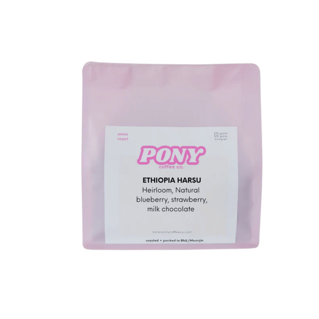 Pony Coffee Co - Ethiopia Harsu