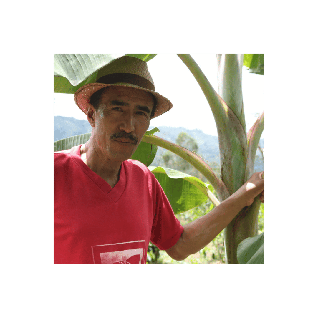 Reuben Hills Jose Elcias Martinez Guzman