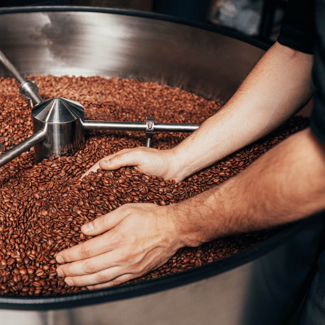 Fresher isn't always better. Coffee needs to rest before it's ready.