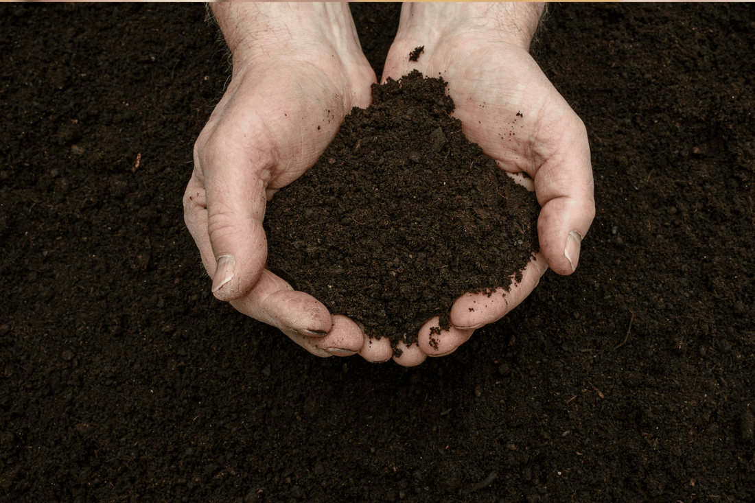 Coffee consumption to fuel veggies