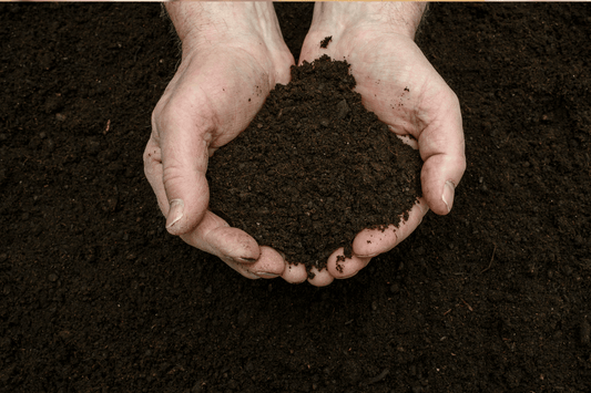 Coffee consumption to fuel veggies