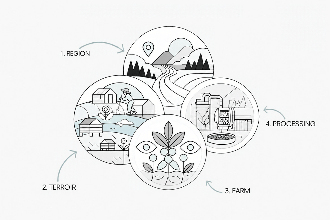 "Ethically sourced" appears on a lot of coffee bags. But what does it actually look like in practice?