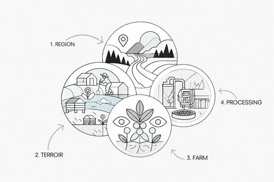 "Ethically sourced" appears on a lot of coffee bags. But what does it actually look like in practice?