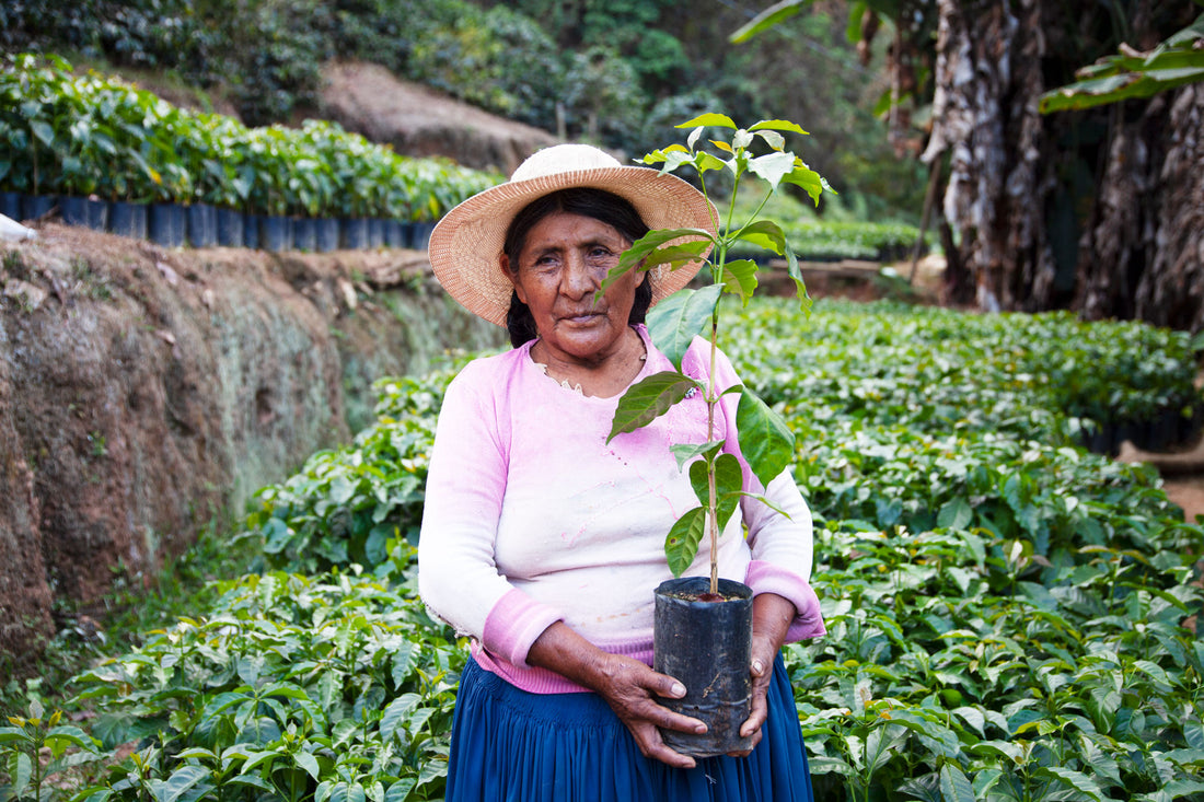 Empowering women coffee farm owners is one way to secure the future of this much loved crop