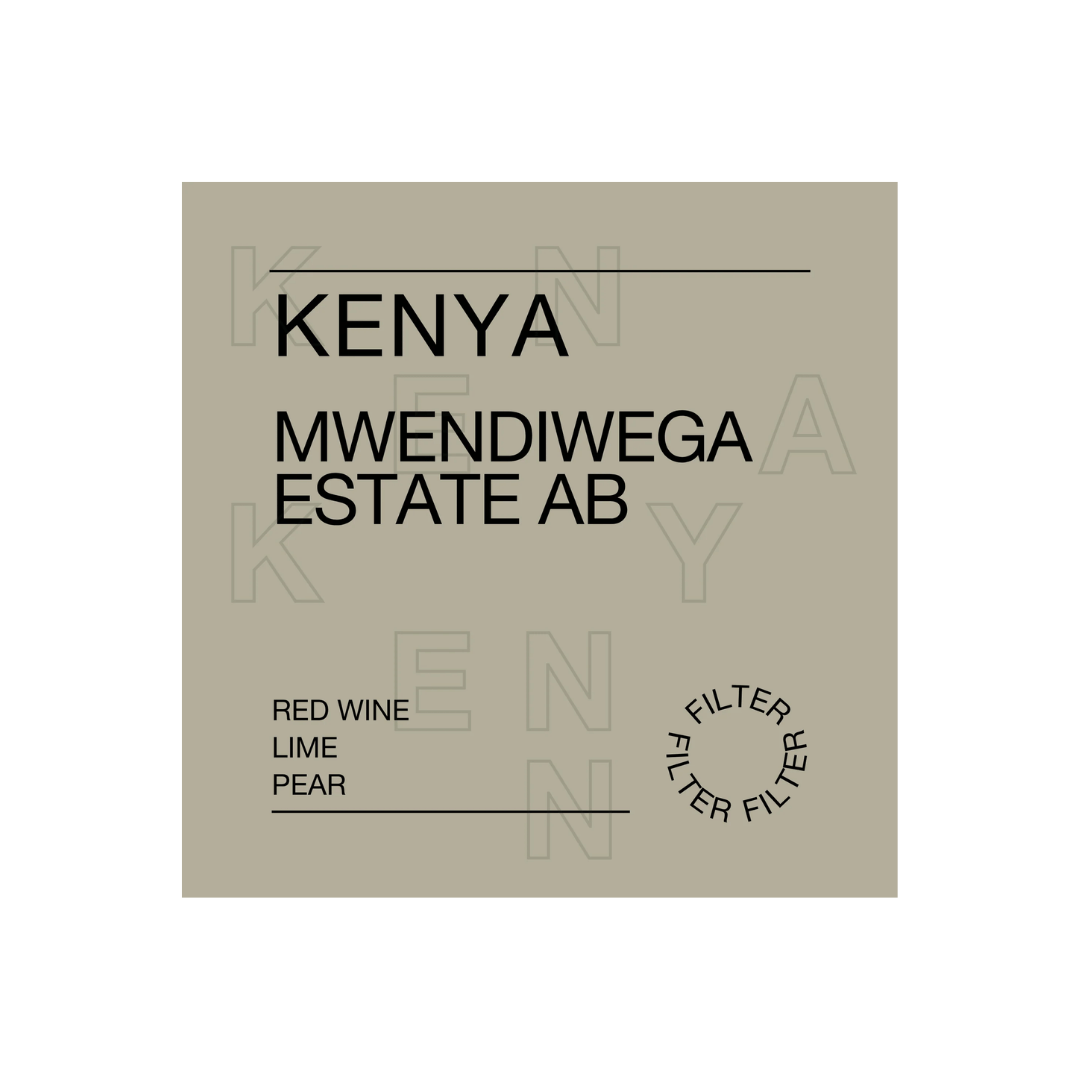 Kenya, Mwendiwega Estate - Filter