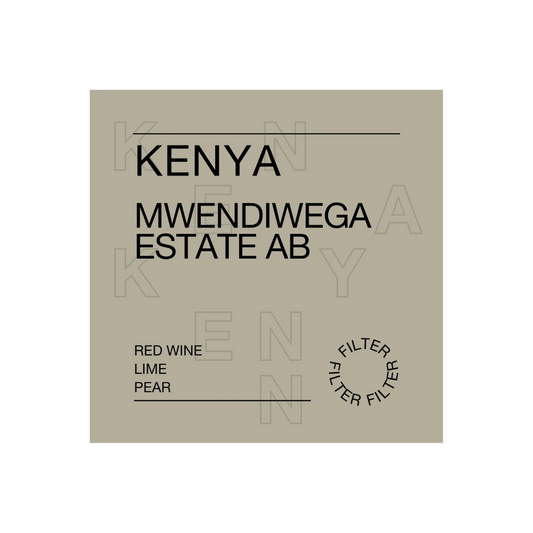 Kenya, Mwendiwega Estate - Filter