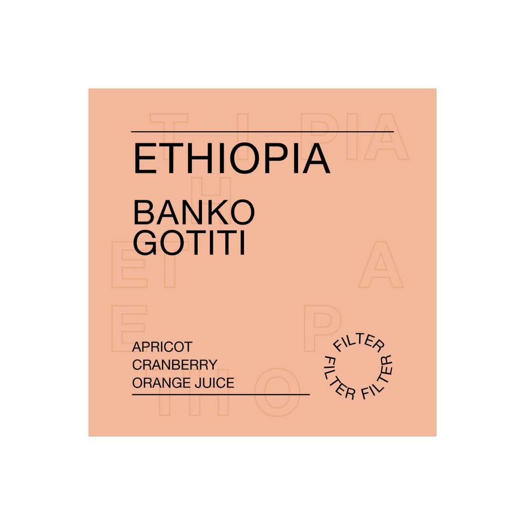 Ethiopia, Banko Gotiti - Filter