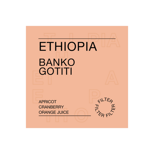 Ethiopia, Banko Gotiti - Filter