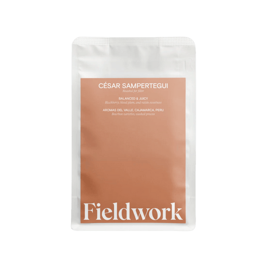 Fieldwork Coffee - Cesar Sampertegui Filter Coffee Peru