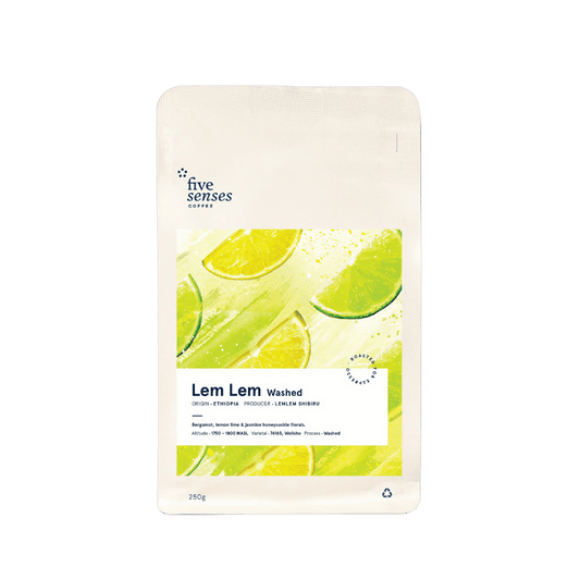 Five Senses Coffee  Lem Lem Washed Filter Coffee