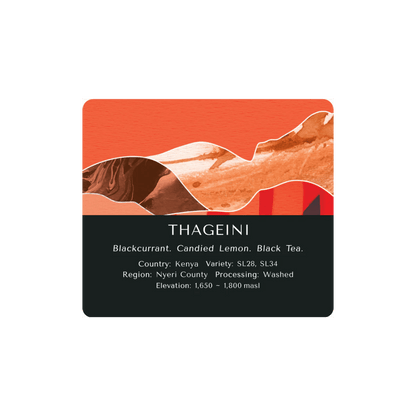 Thageini Kenya Bundle (500g)