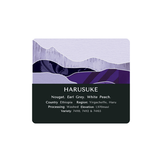 Monastery Coffee - Harusuke Specialty Coffee Ethiopia