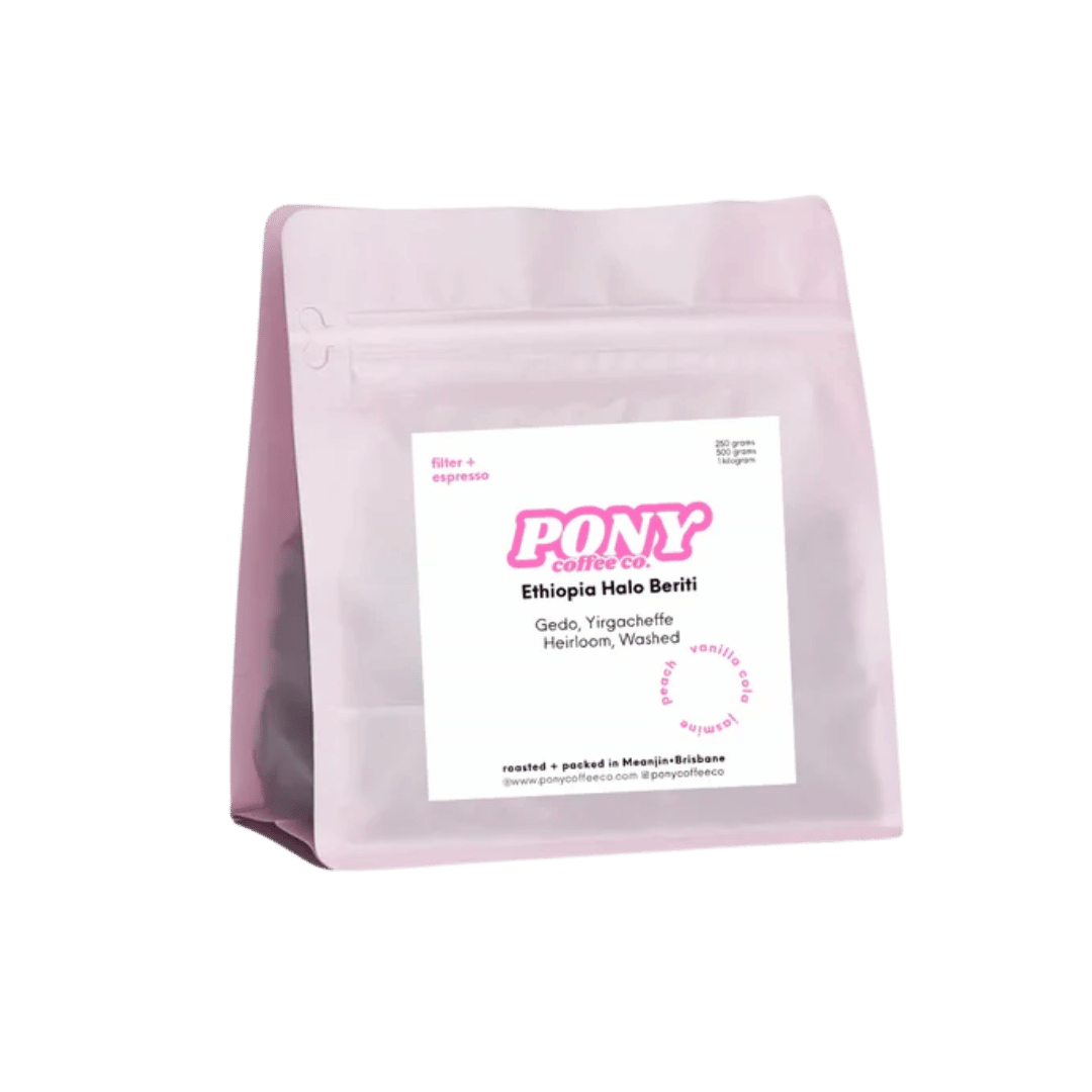 Pony Coffee Co. - Ethiopia Halo Beriti, Washed Omni Roasted Coffee