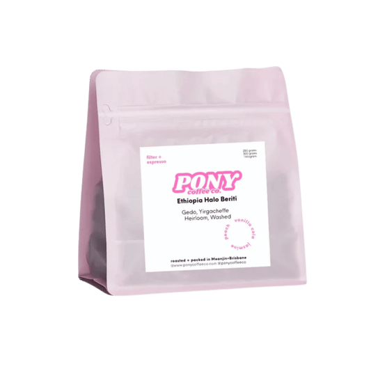 Pony Coffee Co. - Ethiopia Halo Beriti, Washed Omni Roasted Coffee