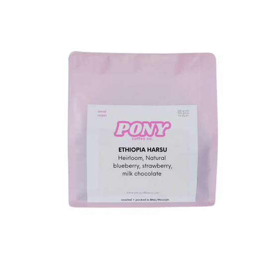 Pony Coffee Co - Ethiopia Harsu