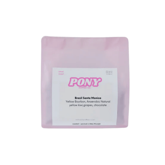 Pony Coffee Co - Brazil Santa Monica Coffee