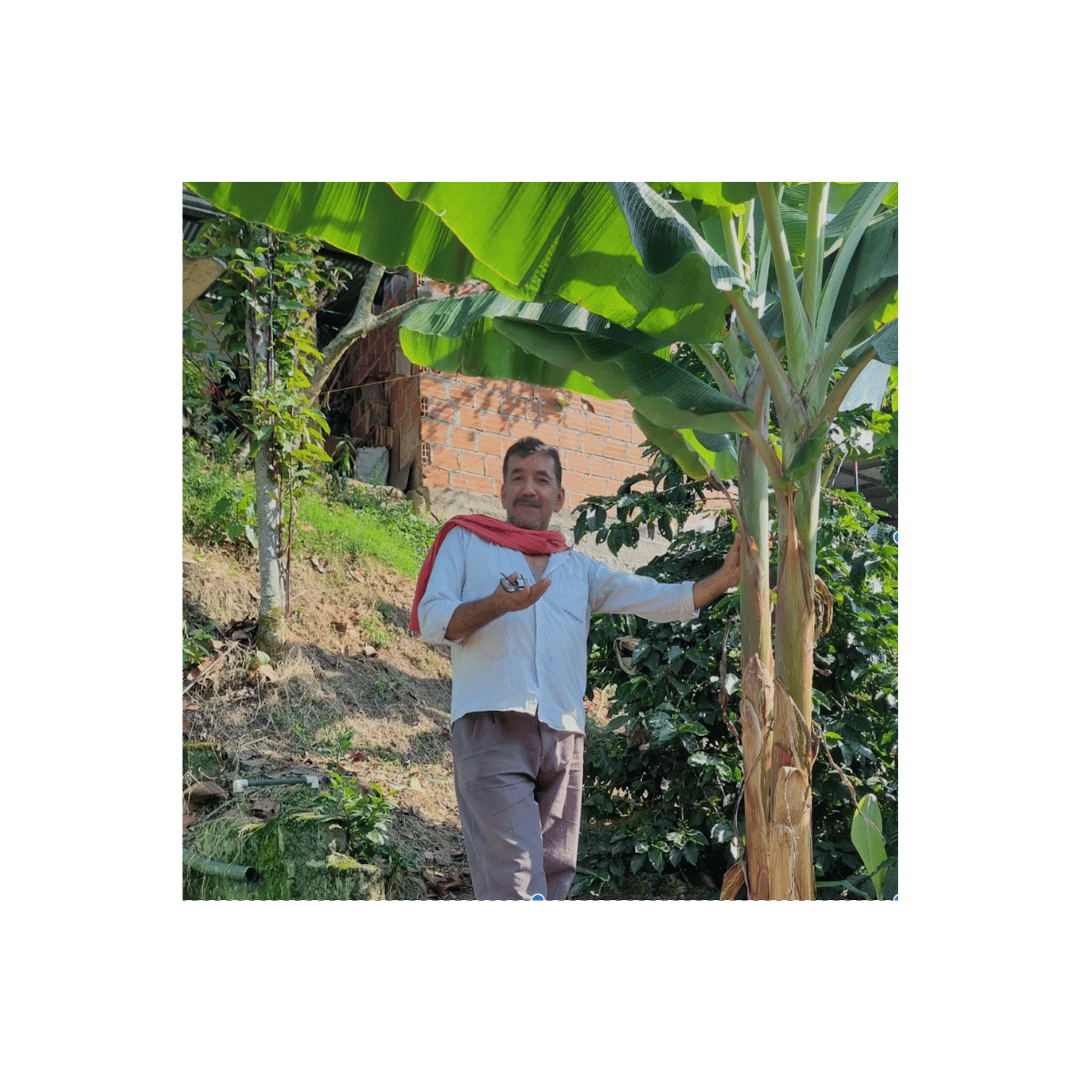 Reuben Hills Colombia El Progreso Filter Coffee Farm