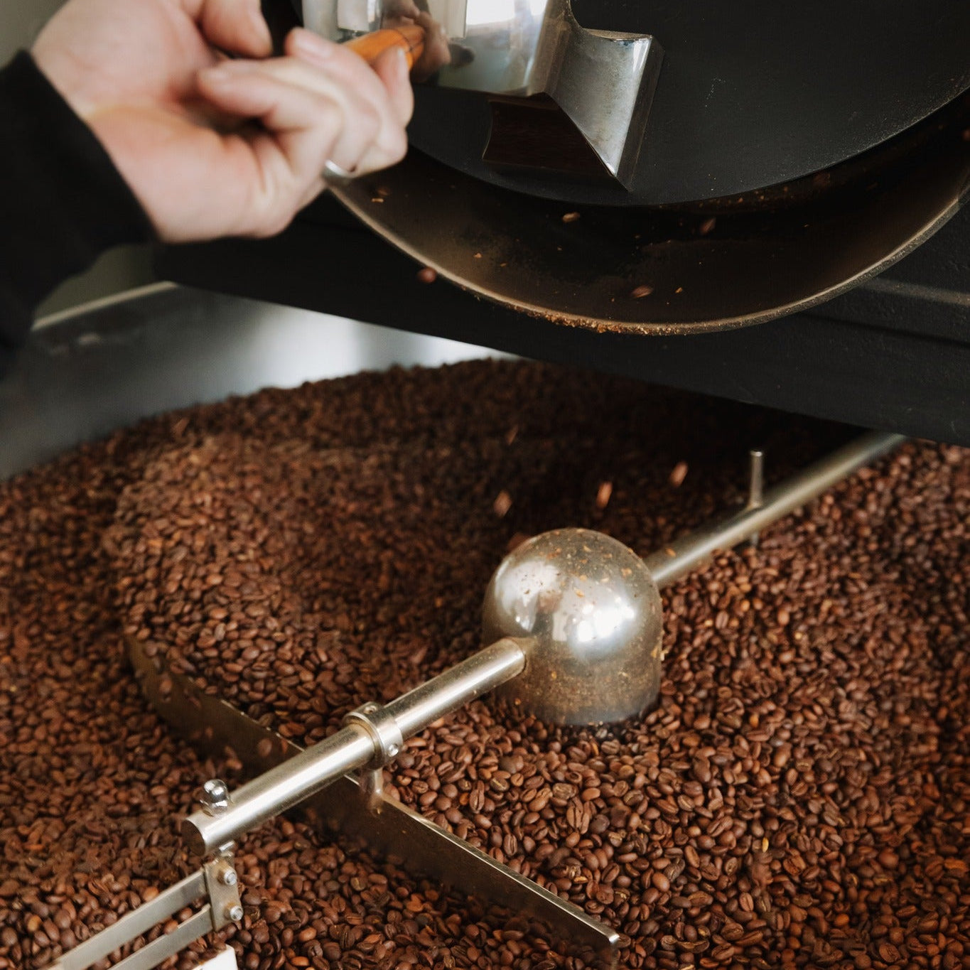 Person roasting coffee beans