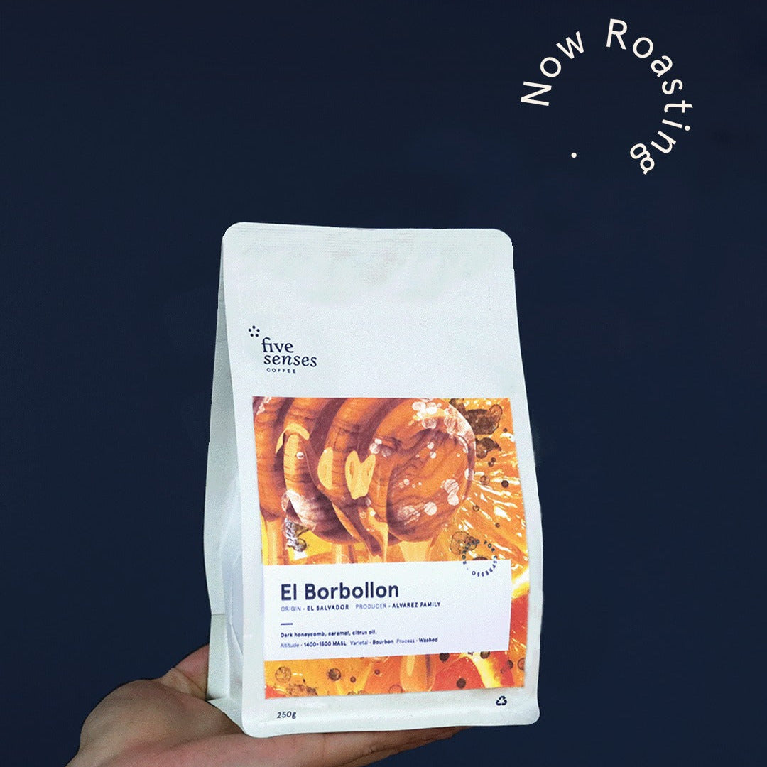 Hand holding a Five Senses Coffee bag labeled 'El Borbollón' against a dark background