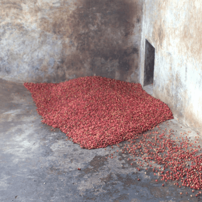 Red seeds scattered on a stone floor with a textured wall in the background